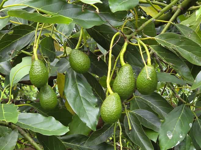 232C Williams Road North, Pyes Pa