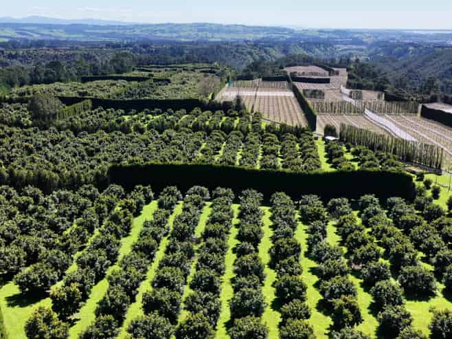 232C Williams Road, Pyes Pa