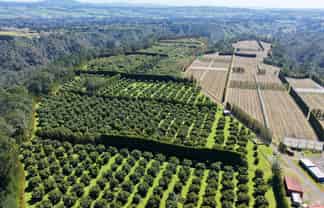 232C Williams Road, Pyes Pa