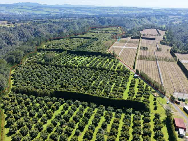 232C Williams Road, Pyes Pa