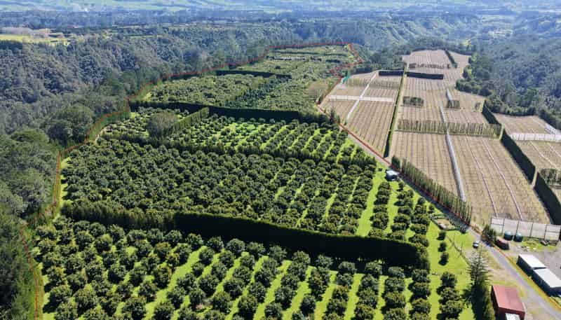 232C Williams Road, Pyes Pa