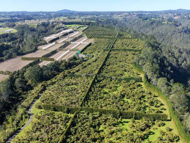 232C Williams Road, Pyes Pa