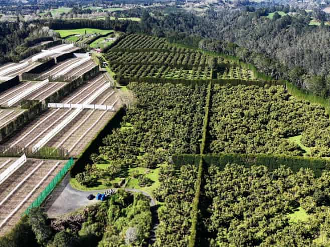 232C Williams Road, Pyes Pa