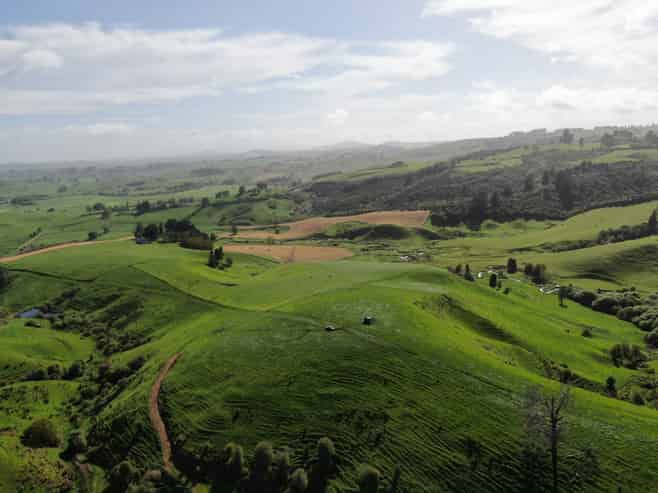 48 Barber Road, Otewa