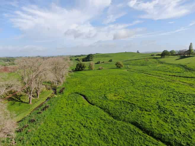 48 Barber Road, Otewa