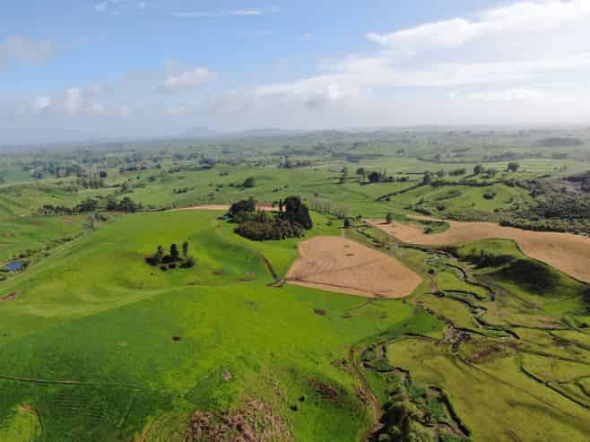 48 Barber Road, Otewa