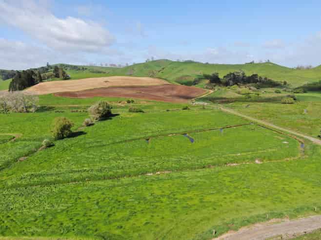 48 Barber Road, Otewa