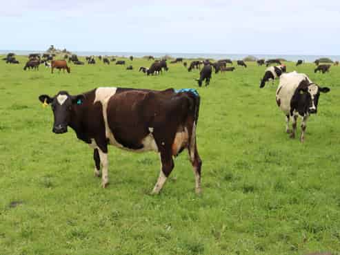 378 Stent Road, Warea