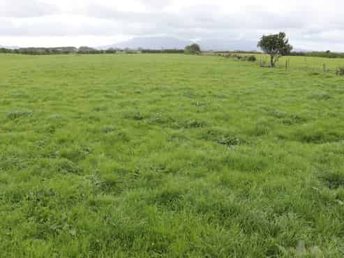 378 Stent Road, Warea