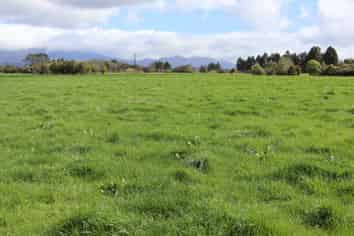 2403 Mountain Road, Tariki