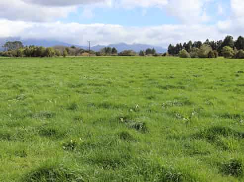 2403 Mountain Road, Tariki