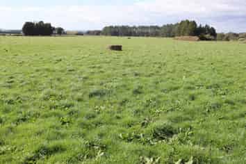 2403 Mountain Road, Tariki