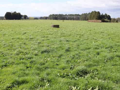 2403 Mountain Road, Tariki