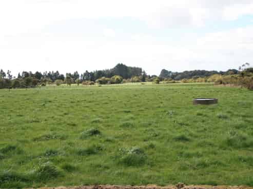 2403 Mountain Road, Tariki