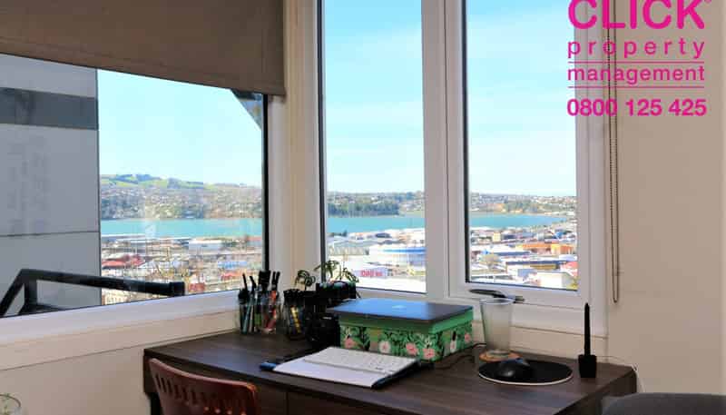 317 A High Street, Dunedin Central