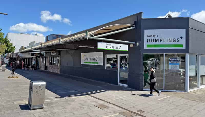 18 Hood Street, Hamilton Central