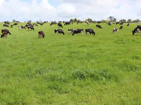 496 Opunake Road, Stratford