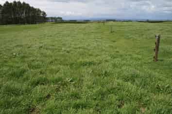 496 Opunake Road, Cardiff