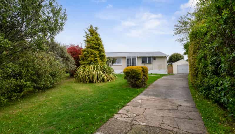 40 Wharepaina Crescent, Springfield