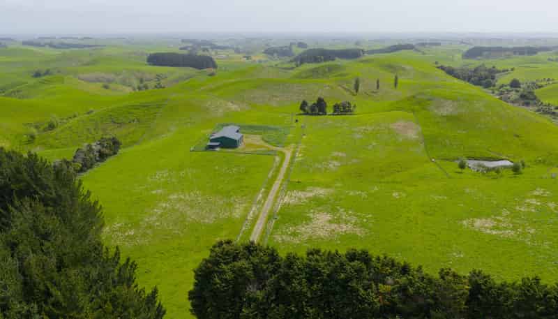 137 Zigzag Road, Pohangina