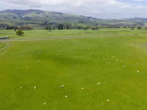 643b Pohangina Road, Ashhurst