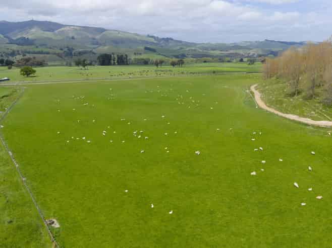 643 a and  Pohangina Road, Ashhurst