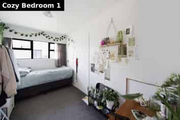 Auckland - Address withheld