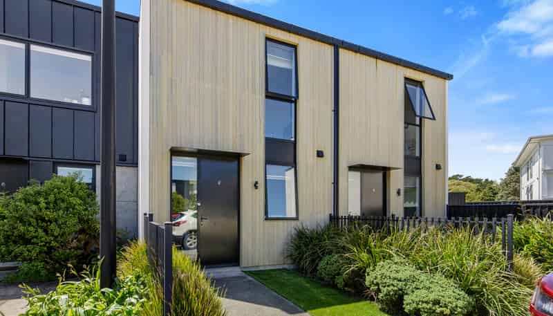 47 Te Ara O Paetutu, Petone