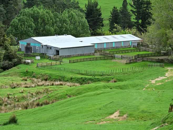 Lot Elmore439 Rakauroa Road, Matawai