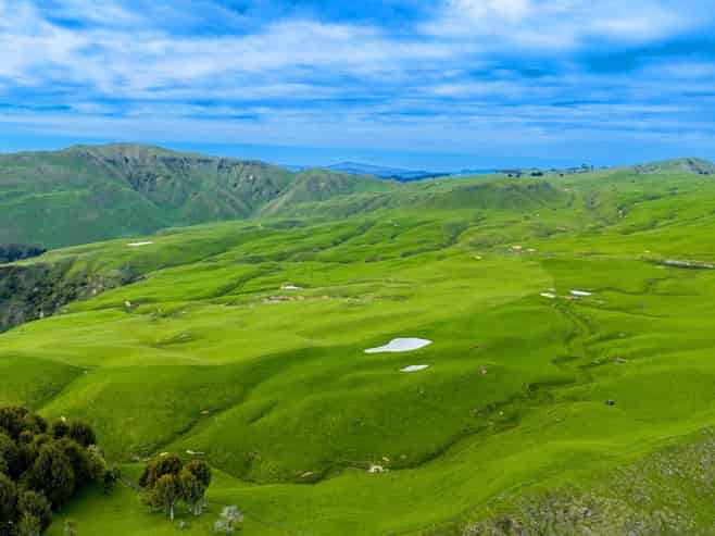 Lot Elmore439 Rakauroa Road, Matawai