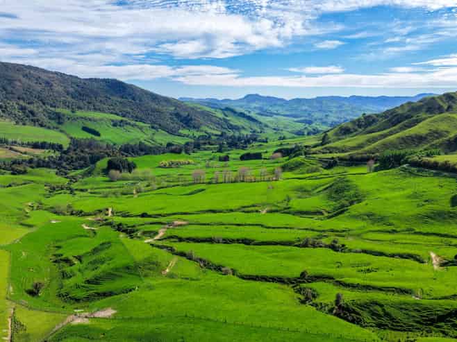 Lot Elmore439 Rakauroa Road, Matawai