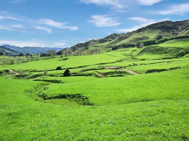 Lot Elmore439 Rakauroa Road, Matawai