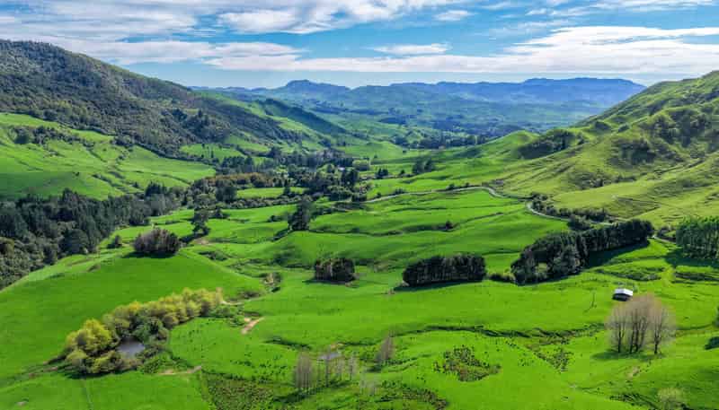 439 Rakauroa Road, Matawai