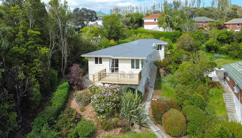 38 Hillary Street, Liberton