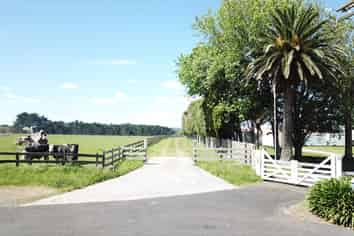 131 Saddleton Road, Waiau Pa