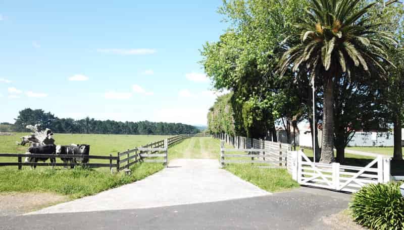 131 Saddleton Road, Waiau Pa