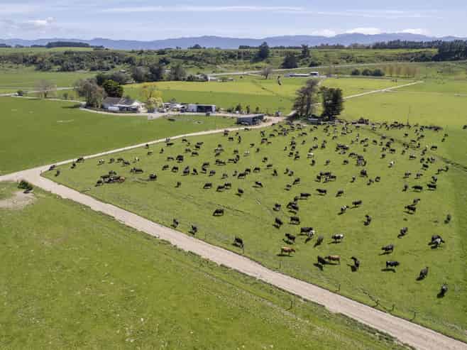 2556 State Highway 53, Martinborough