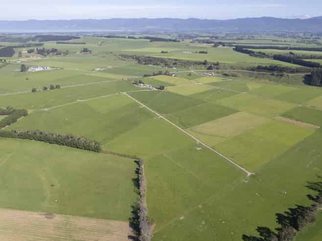 2556 State Highway 53, Martinborough