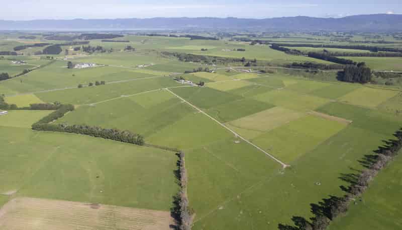 2556 State Highway 53, Martinborough