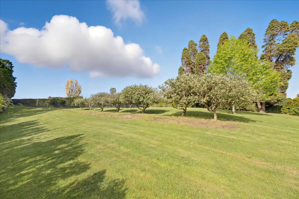 Location, Views & Open to Offers ! - Widok 4