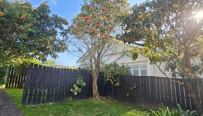 3/116 Grange Road, Mount Eden