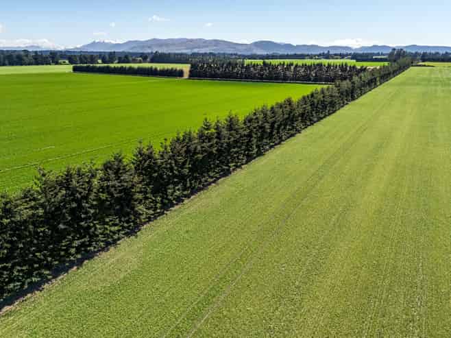 100/246 Vaughans Road, Methven