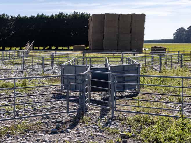 100/246 Vaughans Road, Methven