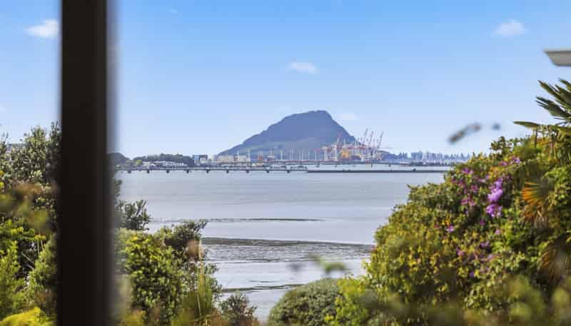 244 Maungatapu Road, Maungatapu