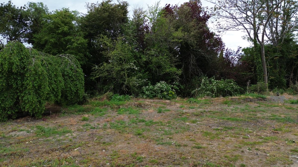Prime Section Near Village - Ansicht 3