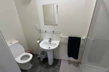 2/8 Union Street , North Dunedin