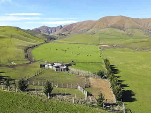 347 Butlers Road, Fairlie