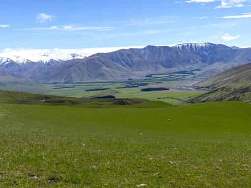 347 Butlers Road, Fairlie