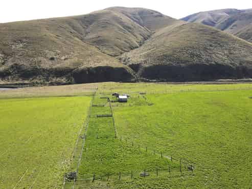 347 Butlers Road, Fairlie