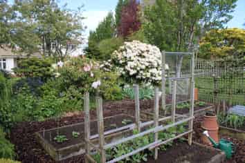 282 Mckenzie Road, Browns